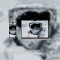 Whiteout